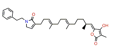 Ircinialactam I